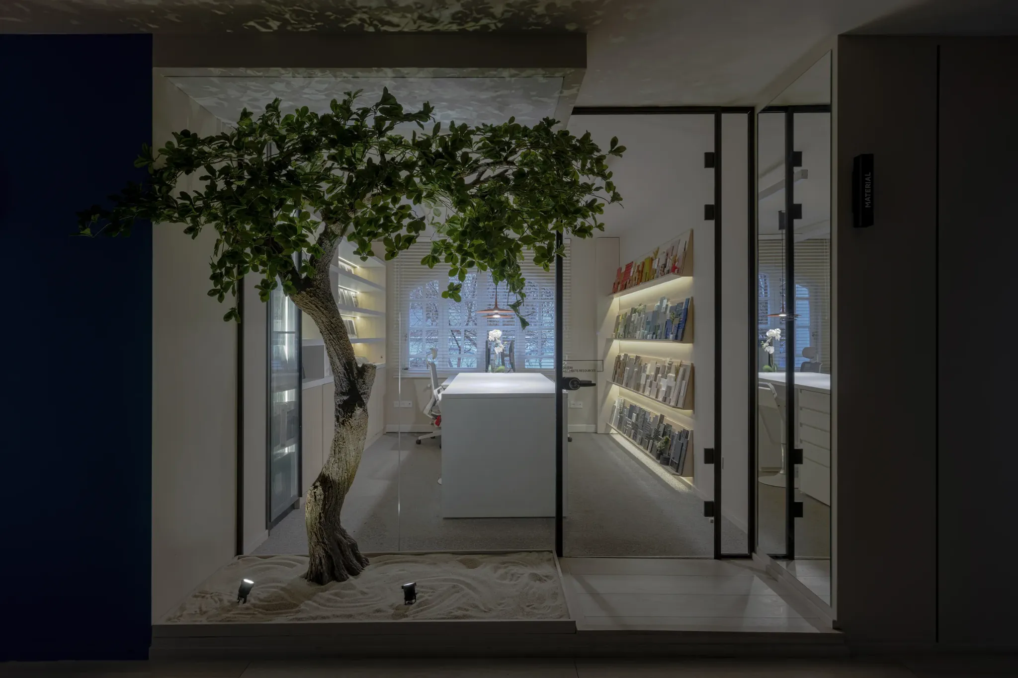 Indoor tree beside a glass partition and illuminated display shelves.