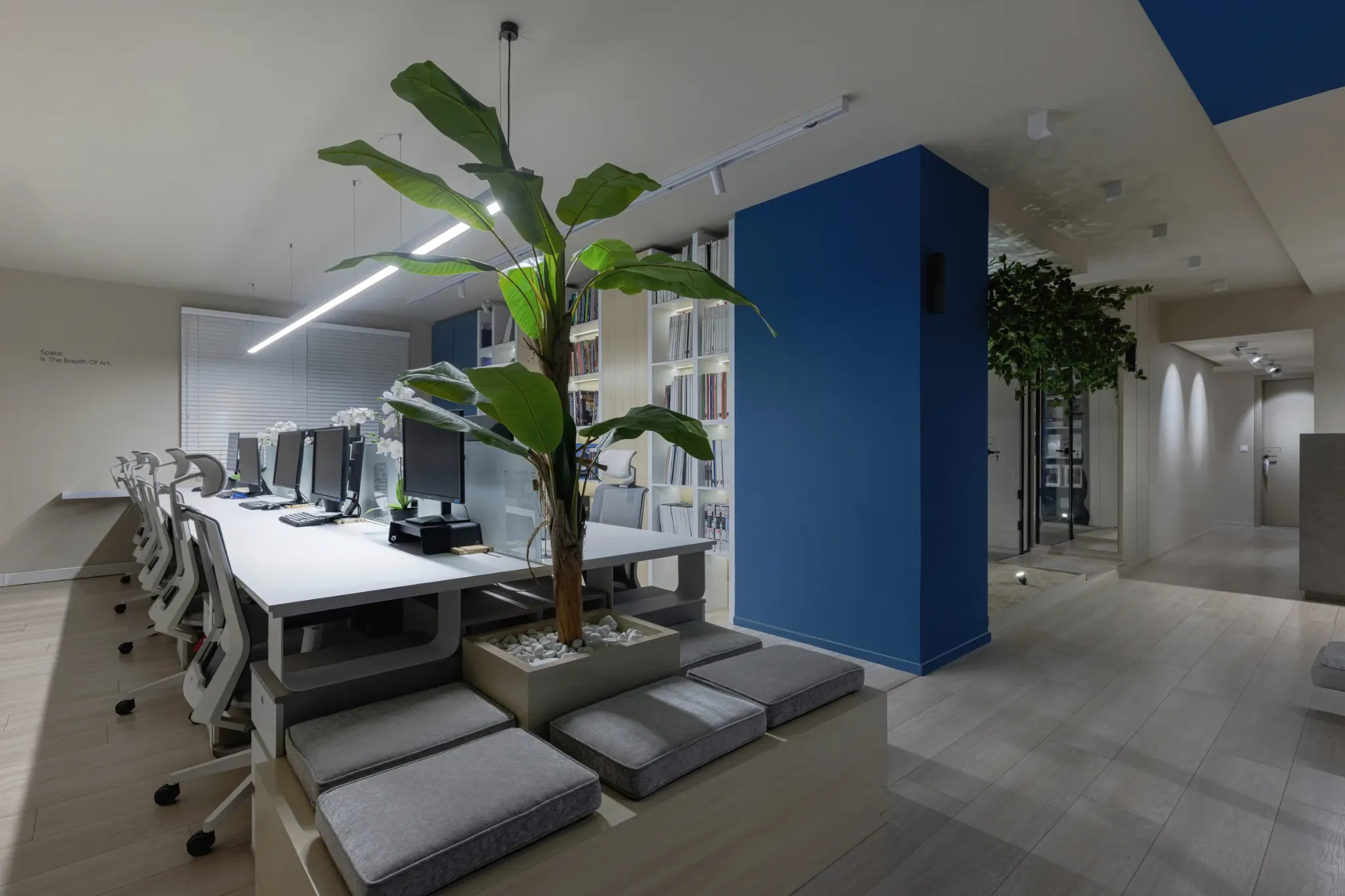 Open studio workspace with shared desks, plants, and a blue feature wall.
