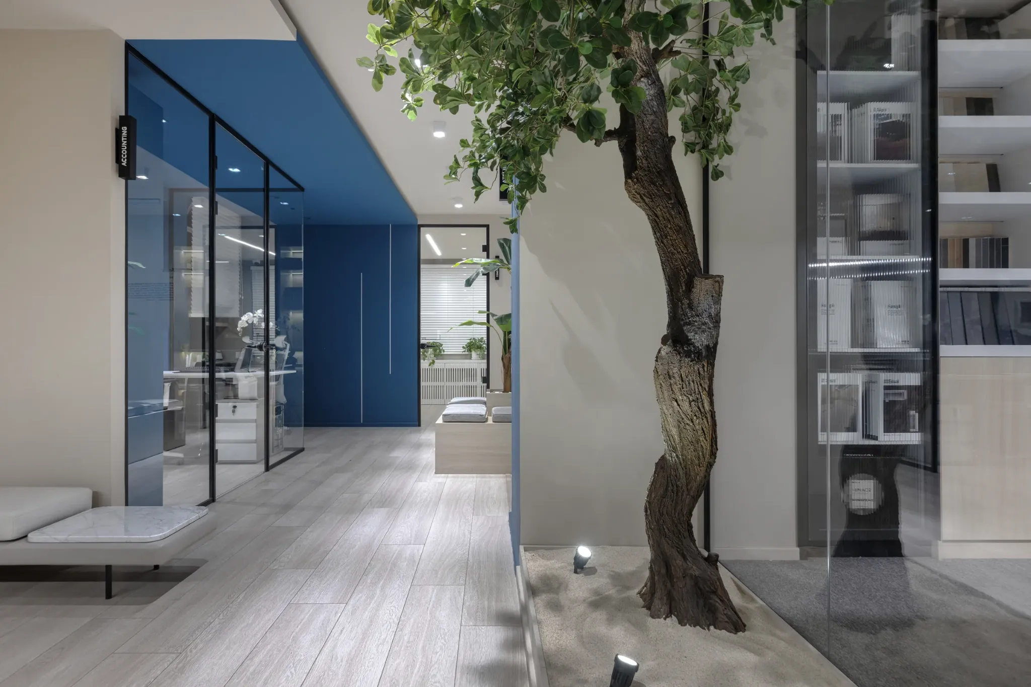 Studio corridor with glass meeting rooms and an indoor tree.