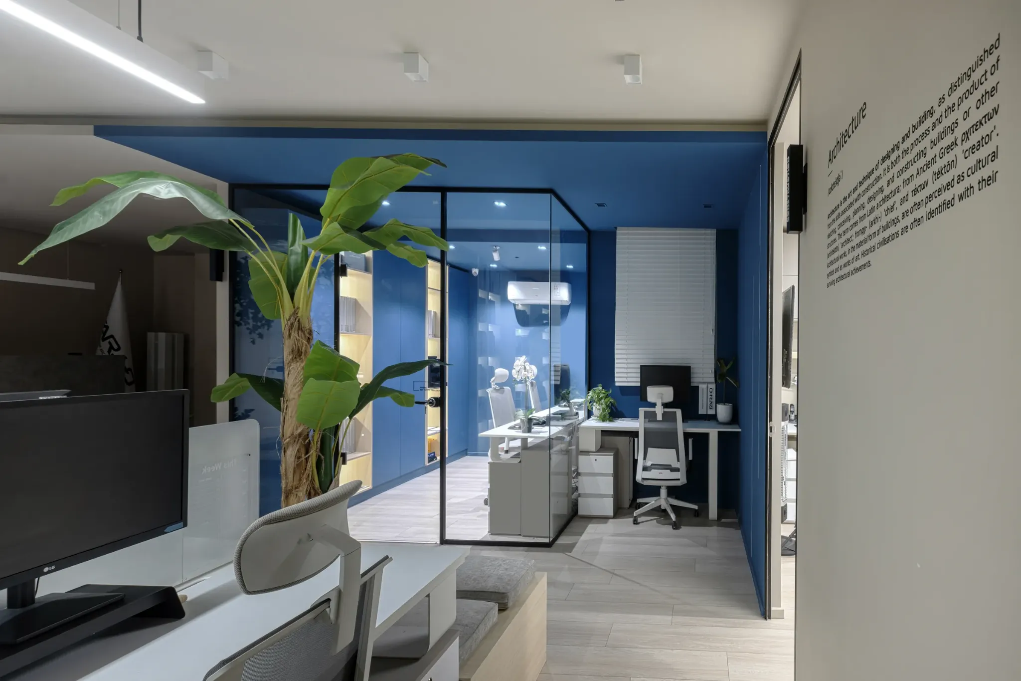 Studio work area with a large plant and blue-framed glass partitions.